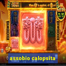 assobio calopsita