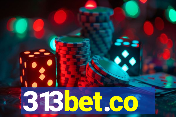 313bet.co