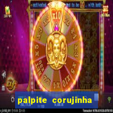 palpite corujinha de hoje