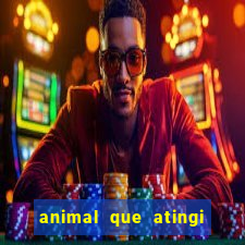 animal que atingi 230 decibeis