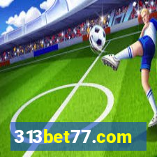 313bet77.com