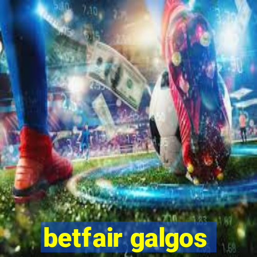 betfair galgos