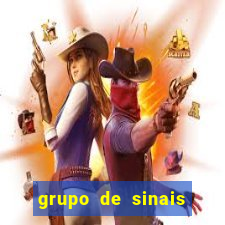 grupo de sinais fortune rabbit